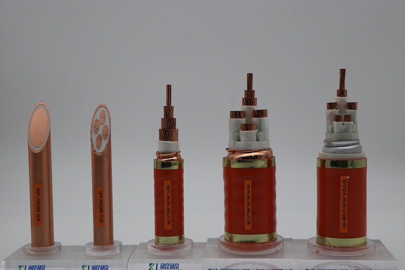 什么是BTTZ電纜？有哪些優點和缺點？